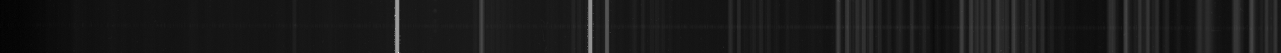 Noise