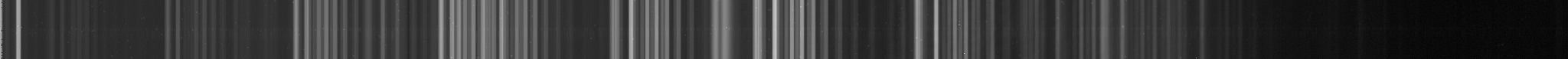 Noise